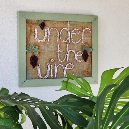 شقة Under The Vine Garden House Platánion المظهر الخارجي الصورة