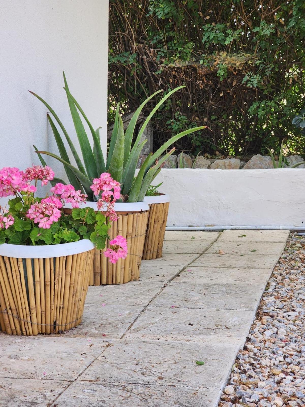 شقة Under The Vine Garden House Platánion المظهر الخارجي الصورة